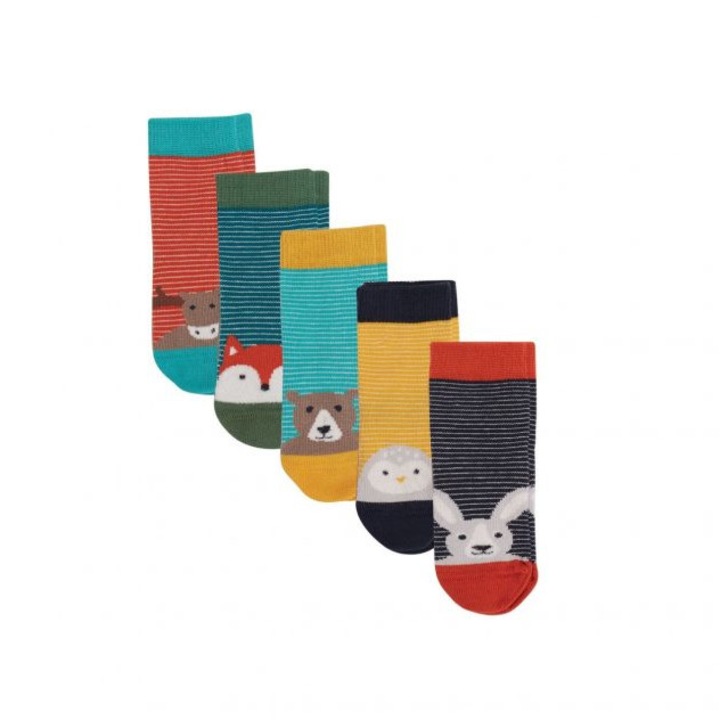 Organikus pamut zokni szett, Többszínű, 19-22 EU