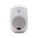 Master Audio XB640W Pool Speaker System, Arylic A50+ усилвател, wi-fi, bluetooth, интернет радио