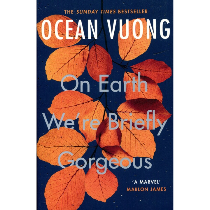 Оушън Вуонг: На Земята сме кратковременно прекрасни