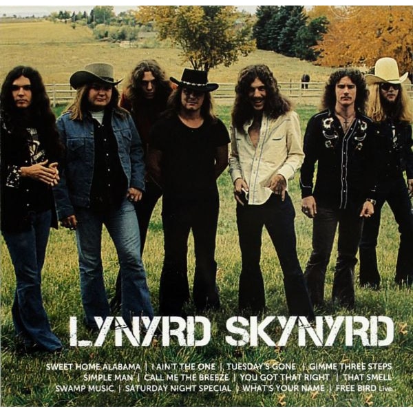 Plettro Per Chitarra Lynyrd Skynyrd – MEDLOCKE – Firmato – Novità Rock Classica