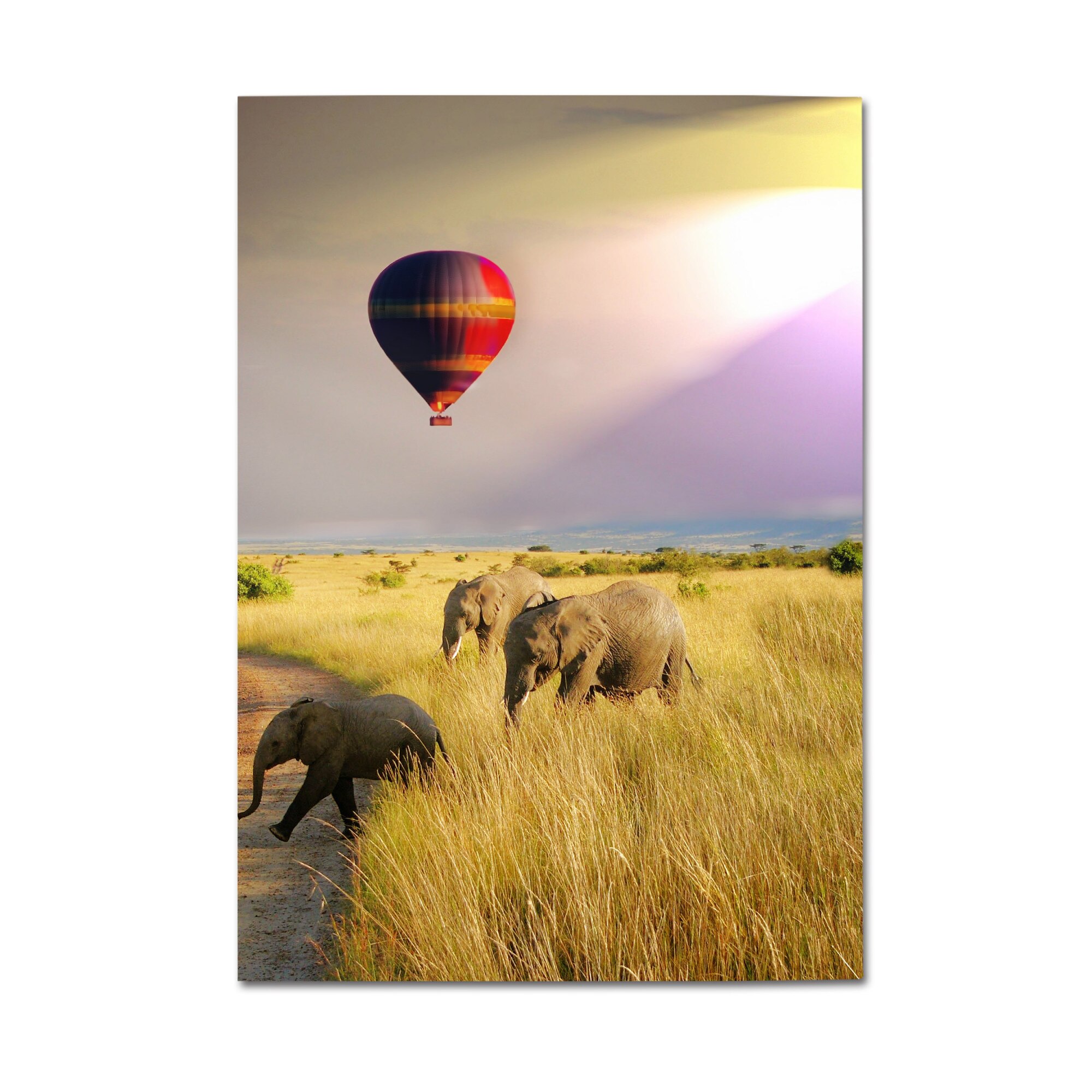 Tablou Canvas Artantida - Safari Elephant- 60 x 40 cm