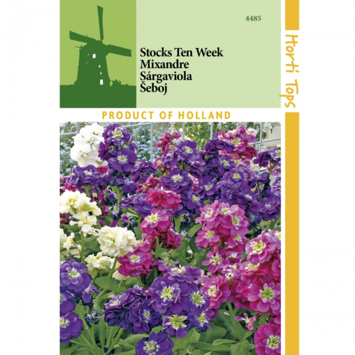 Seminte MATTHIOLA INCANA - mixandre, 0,5 g