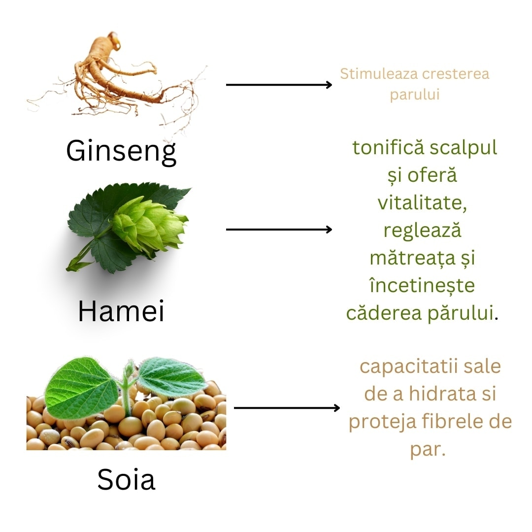 Tonic impotriva caderii parului, Natur Vital hair loss tonic, 200 ml