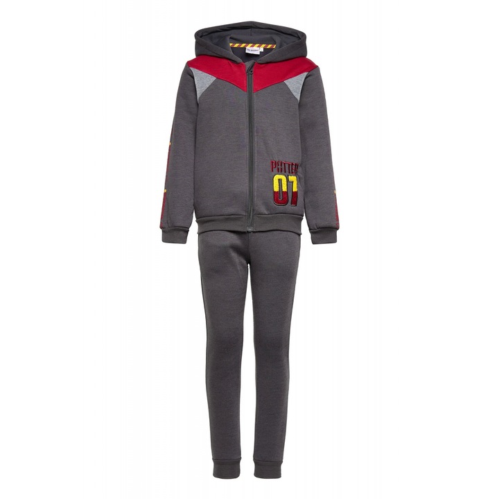 Анцуг за момче Harry Potter SHU1289, Сив