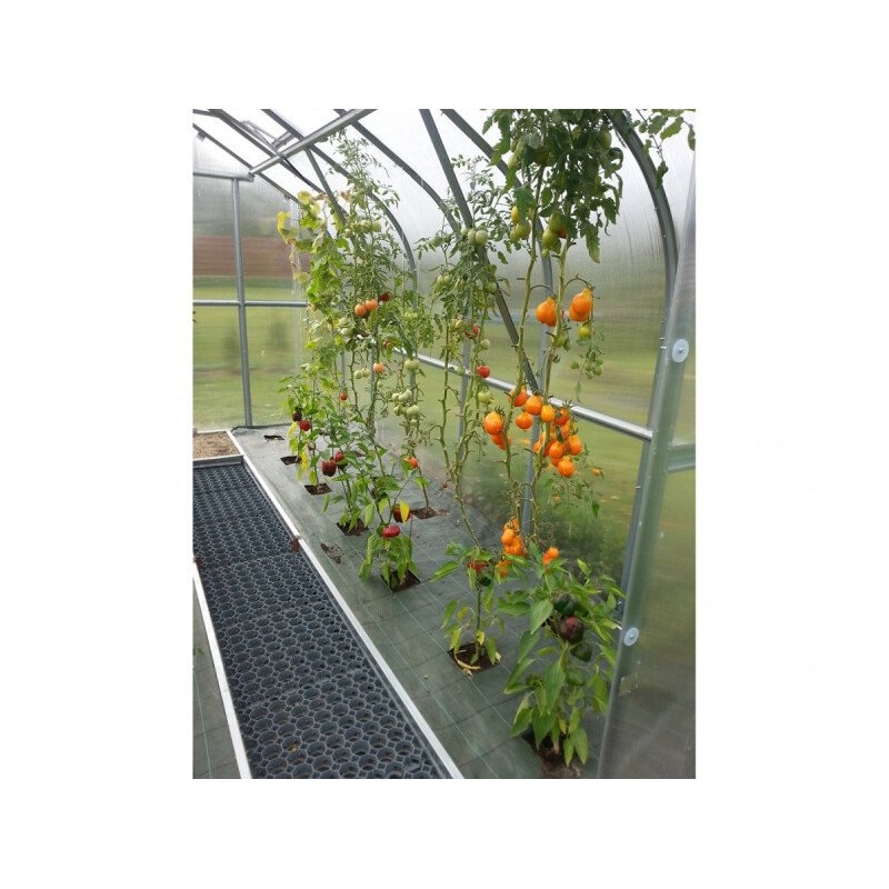 Serre KLASIKA STANDART 2,5x6m - Polycarbonate 6mm - Ouverture Auto Toit - Fondation Incluse