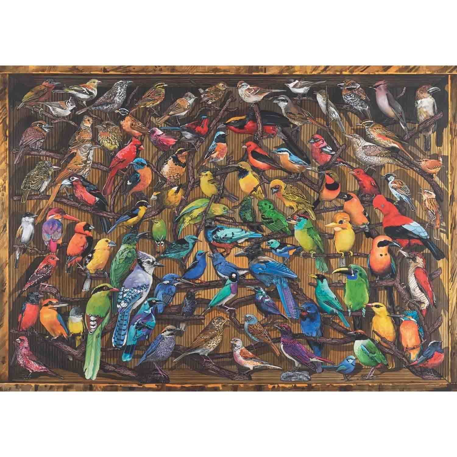 Puzzle Ravensburger - Curcubeu de pasari, 1000 piese - eMAG.ro