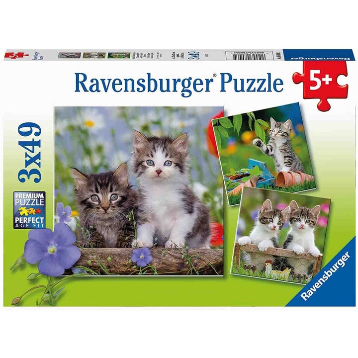 Rejtvény Ravensburger - Cirmos macskák, 3x49 darab