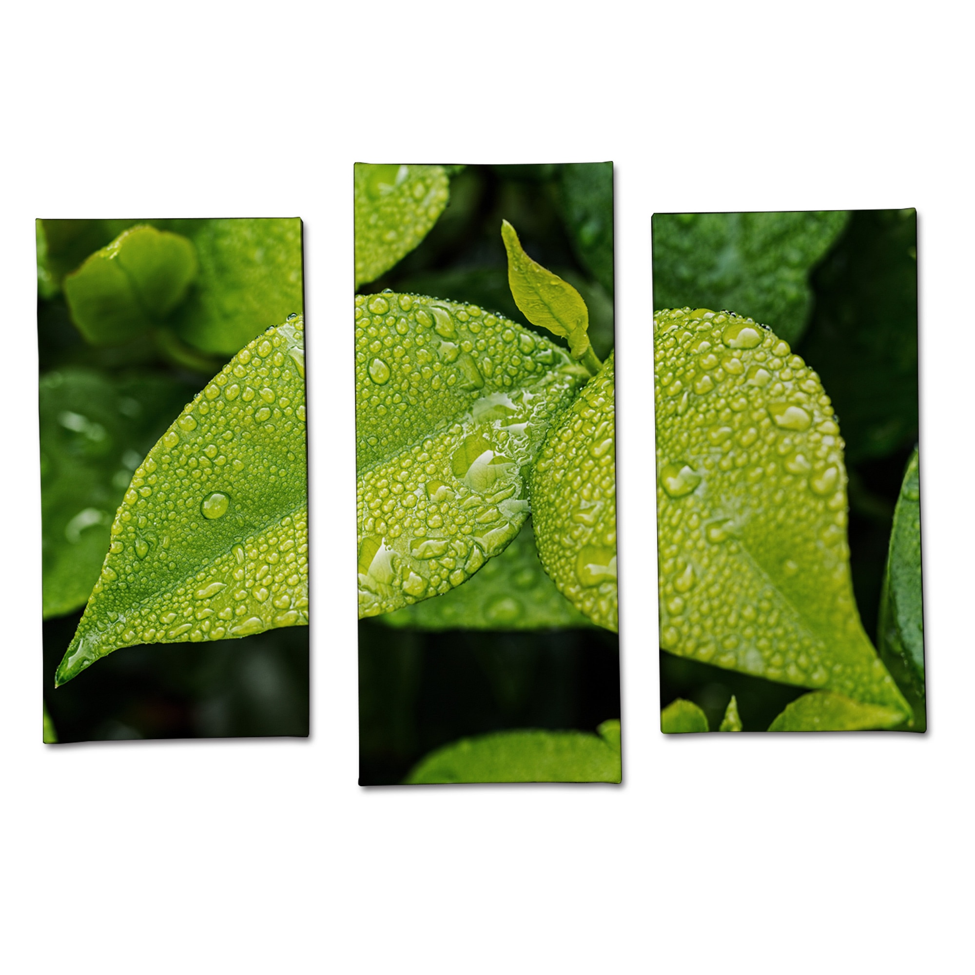 Tablou Multi-Canvas Artantida - Green Leaves 70 x 105 cm