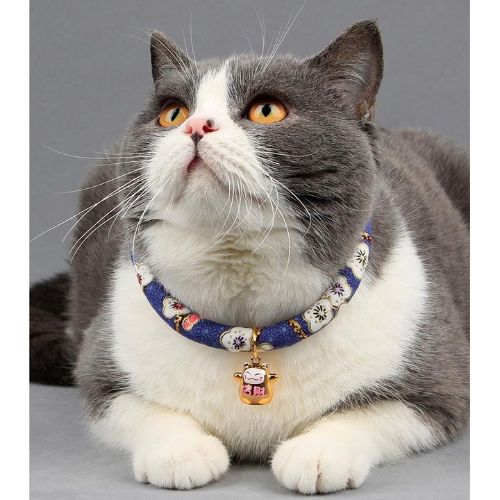 Zgarda ajustabila pentru caini si pisici, model floral, 25 - 40 cm circumferinta, Albastra