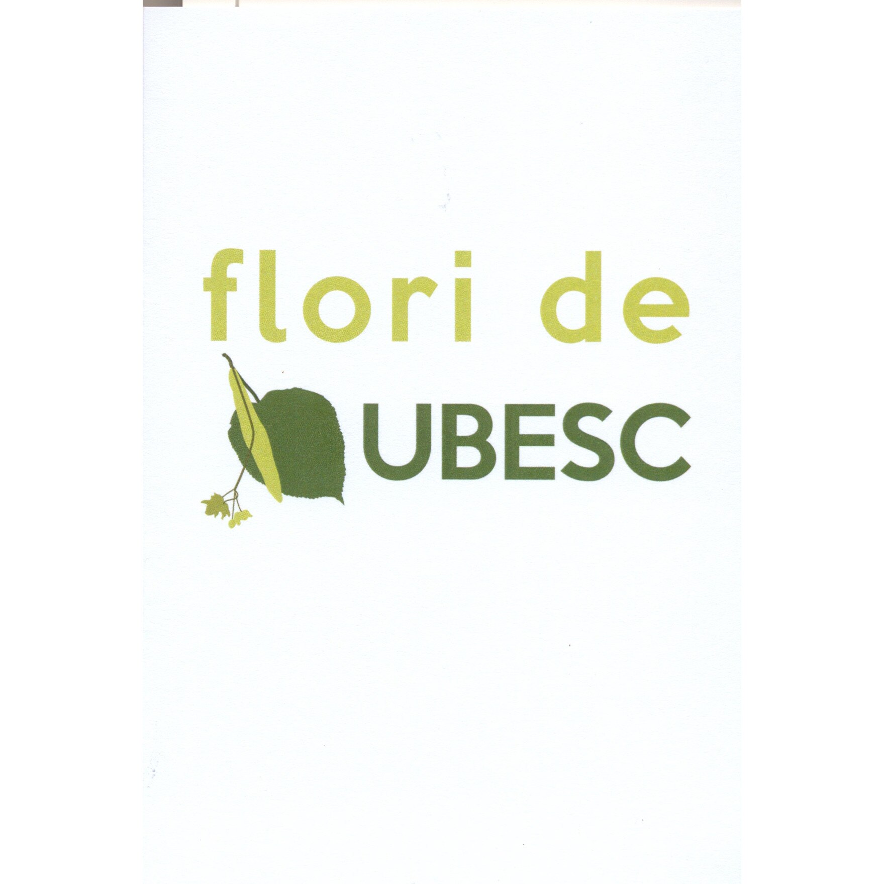 Felicitare - Flori de tei ubesc