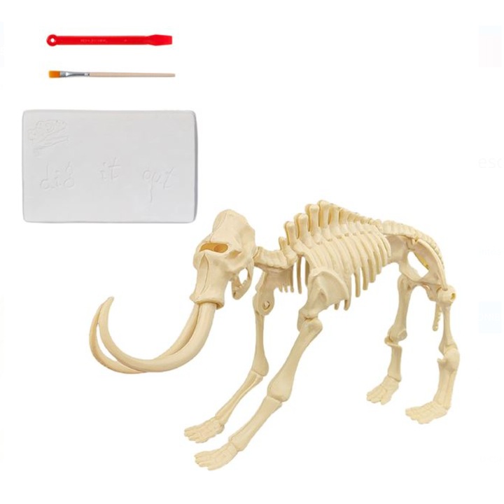 Ásatási és kövületkutató készlet, mamut