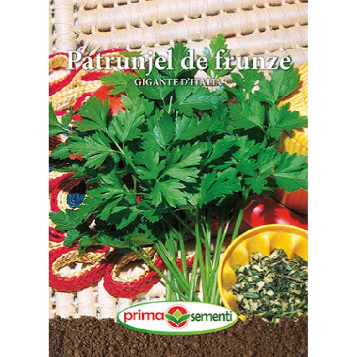 Seminta Patrunjel de frunze Gigante D`intalia 5 g