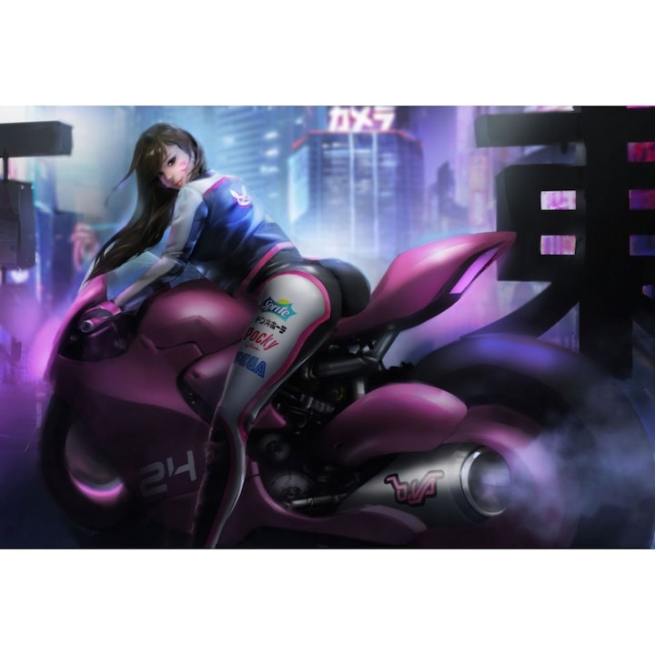 Poster Dva Overwatch Scifi Biker, 61x90cm, poster2833, Multicolor