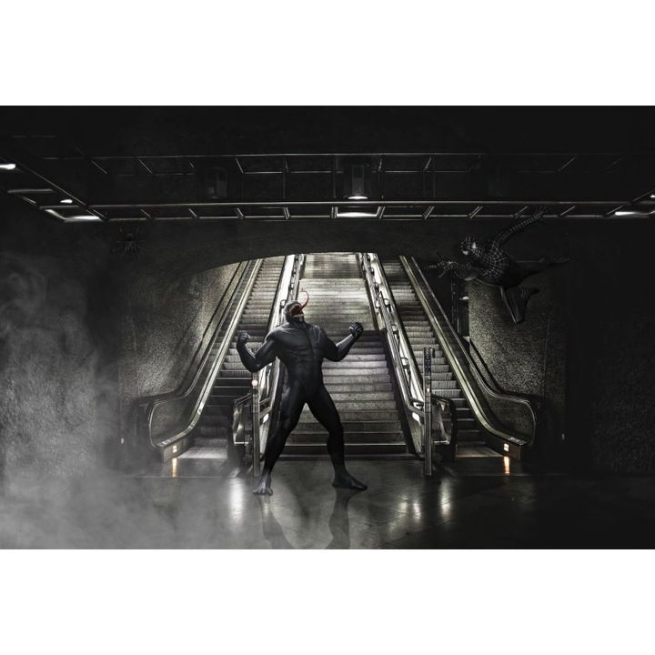 Poster Symbiote Spiderman VS Venom, 61x90cm, poster2384, Multicolor