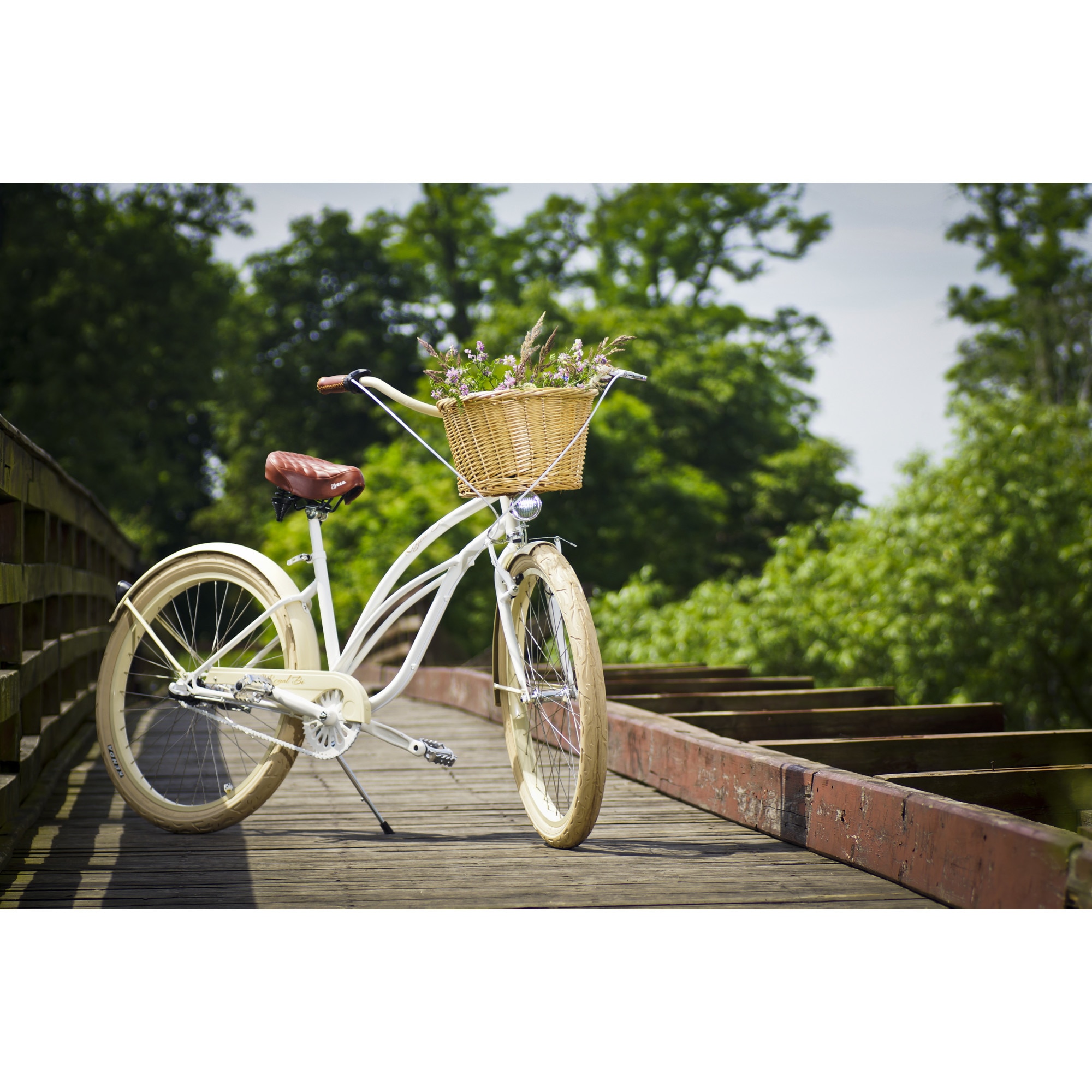 Fashion beach cruiser with basket