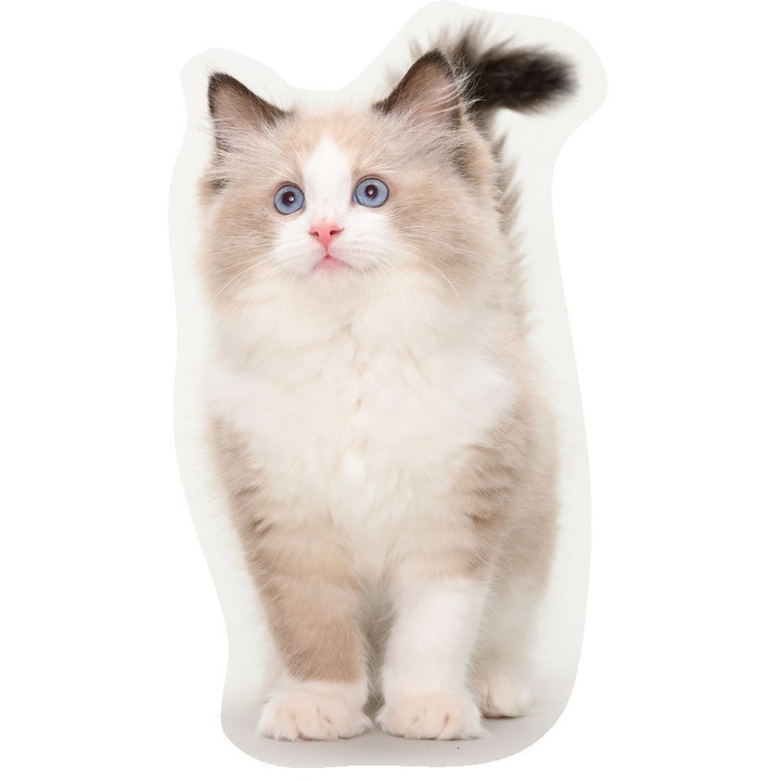 Котешка възглавница, Carbotex, Микрофибър\Силиконов пух, 39x18x7 см, Многоцветна