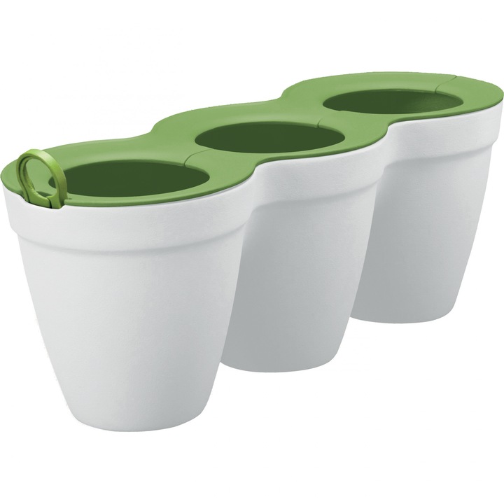 Ghiveci Ivy Herbes, alb