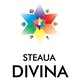 Hidegen sajtolt natúr áfonyaszörp, 520ml, Steaua Divina