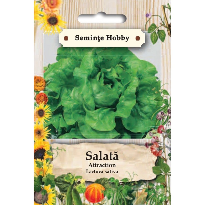 Seminte de salata attraction, 1g