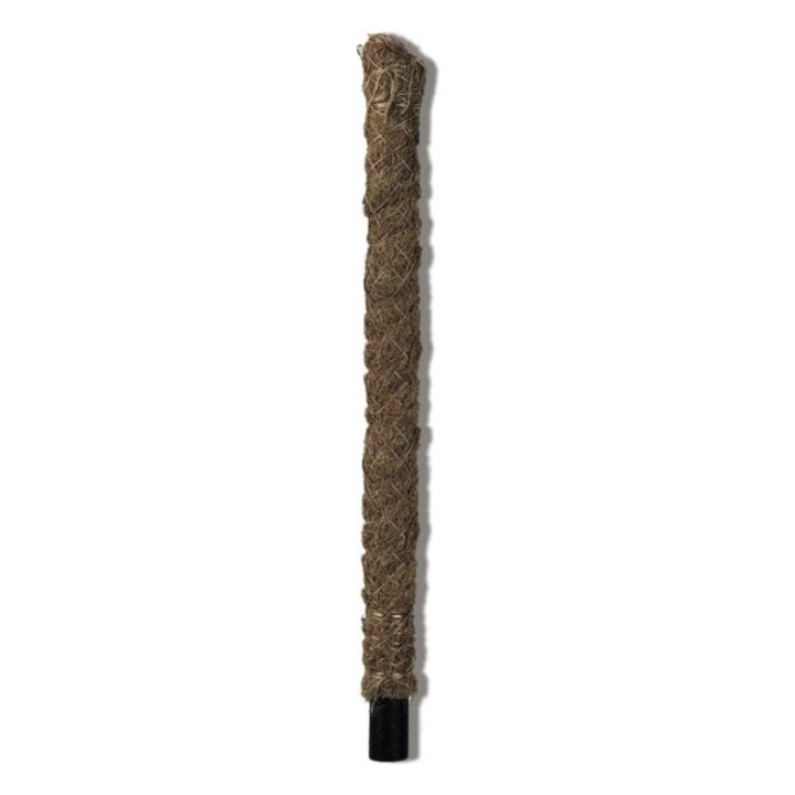Arac din fibra cocos inaltime 50cm pentru sustinere plante decorative de apartament si gradina
