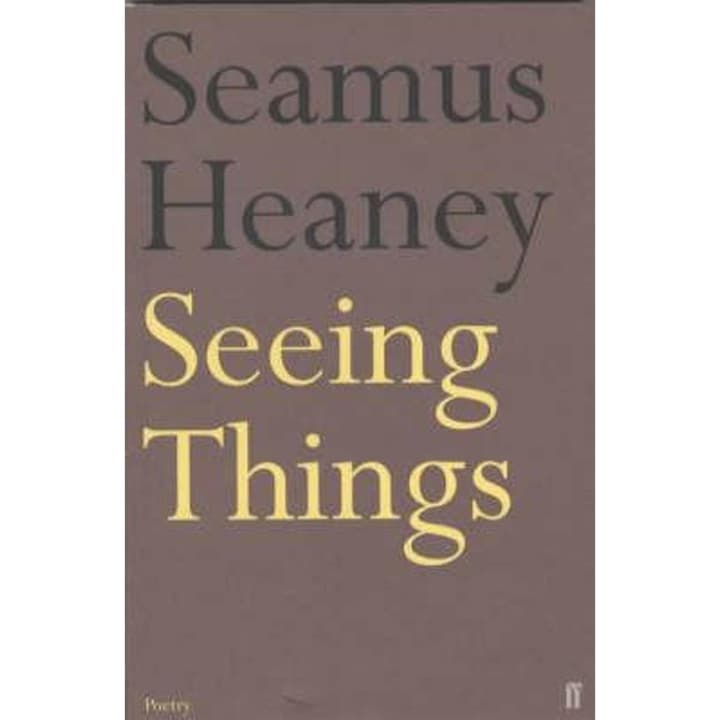 Seeing Things