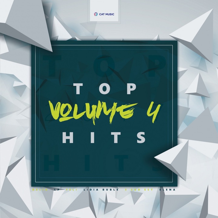Various Artists (Delia, LP, Lidia Buble feat. Matteo, Feli, Smiley, 3 Sud Est, DJ Sava feat. Irina Rimes) - Top Hits vol 4 - CD