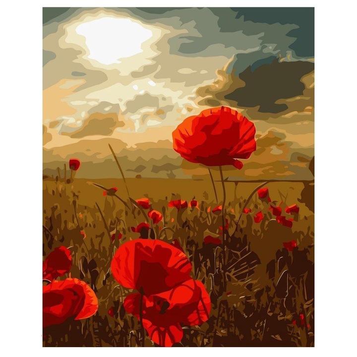 Set pictura dupa numere cu maci, Artnapi, 40 x 50 cm, Multicolor
