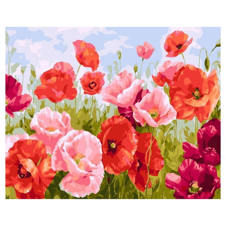 Set pictura dupa numere cu camp de maci, Artnapi, 40 x 50 cm, Multicolor