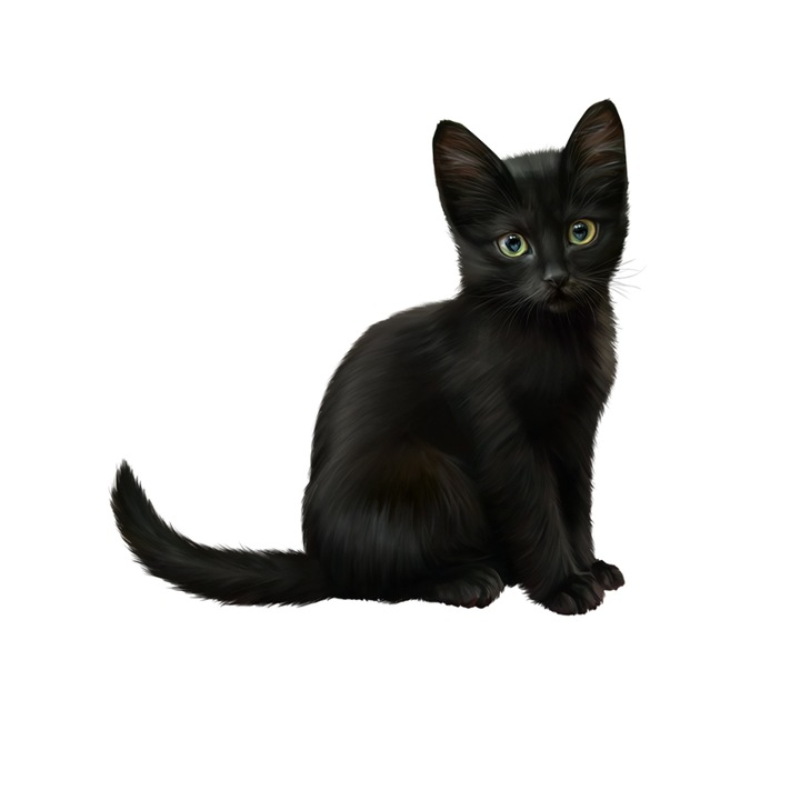 Sticker decorativ intrerupator Pisica model 2, lungime 10 cm