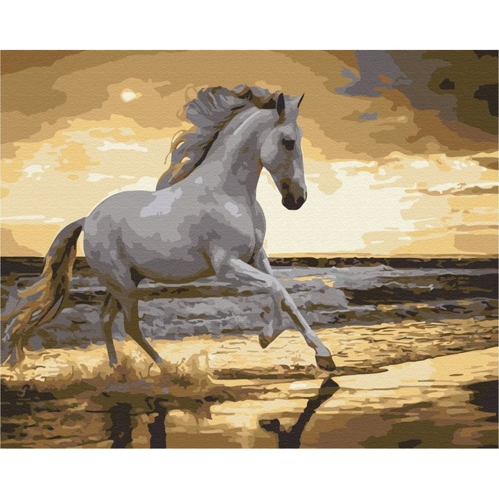 Set pictura pe numere Artnapi, Cal pe coasta, 40x50cm, Rama de lemn