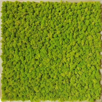 Tablou licheni decorativi ARTFLORA UNI Green Lime, 63.3 x 63.3 cm, Lemn natur Tablou licheni decorativi ARTFLORA UNI Green Lime, 63.3 x 63.3 cm, Lemn natur