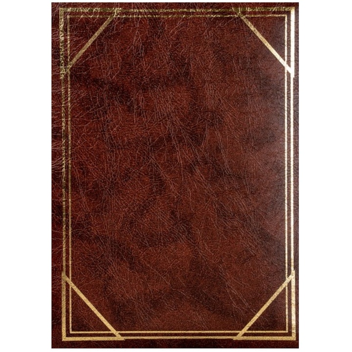 Album foto, Fandy, Piele ecologica, 300 poze, 19 x 25 cm, Maro