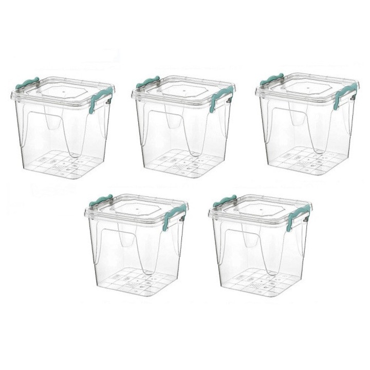 Set 5 cutii depozitare cu manere si capac blocabil, 3.7 litri, transparent, 20x18x18.5cm