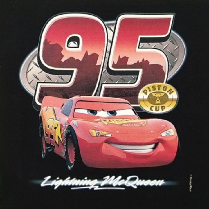 Tablou canvas Disney Cars, negru, 20x20cm