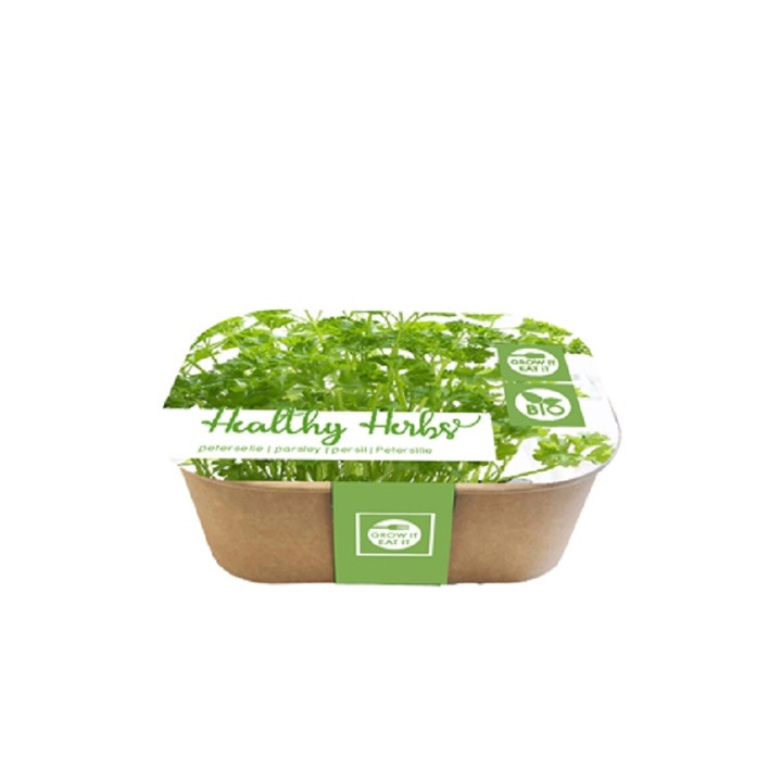Patrunjel, Set de plante aromatice Grow It Eat It, Bio, Jub Holland