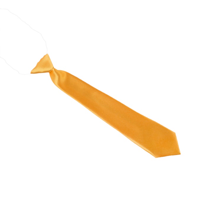 Cravata pentru copii, Unisex, Galben, Aleszale, KRW-KID-32, 30 cm