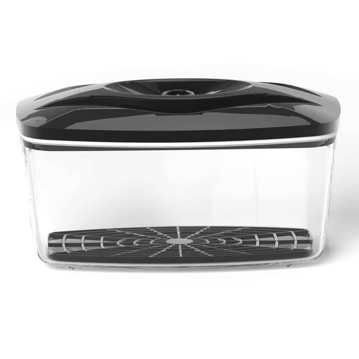 Recipient alimentar, SeeYoo, Plastic, Negru/Transparent