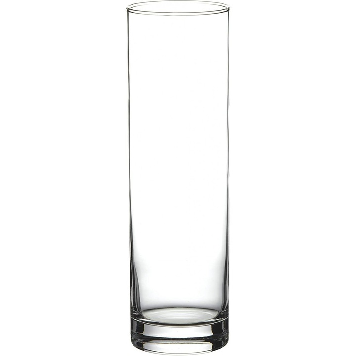 Ботаническа стъклена ваза, 26 х 8 см, прозрачна