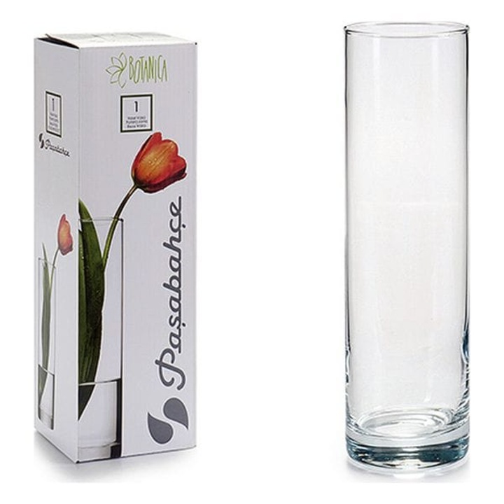 Ботаническа стъклена ваза, 26 х 8 см, прозрачна