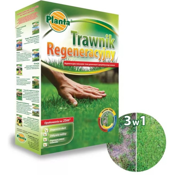 Seminte gazon, Planta, Ingrasamant, 1kg, Verde