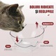 Bol ortopedic dublu pentru pisici cu reumplere automata a apei, Linomag®, 500ml, 37x24x15 cm, Roz