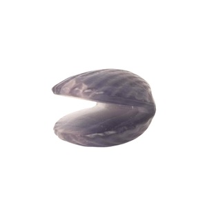 Accesorii decorative