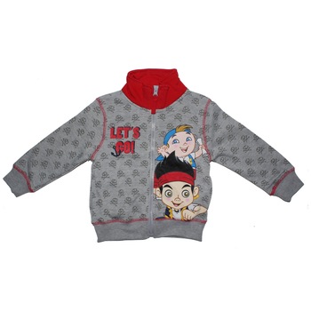 Bluza trening Disney, Jake, Gri Bluza trening Disney, Jake, Gri