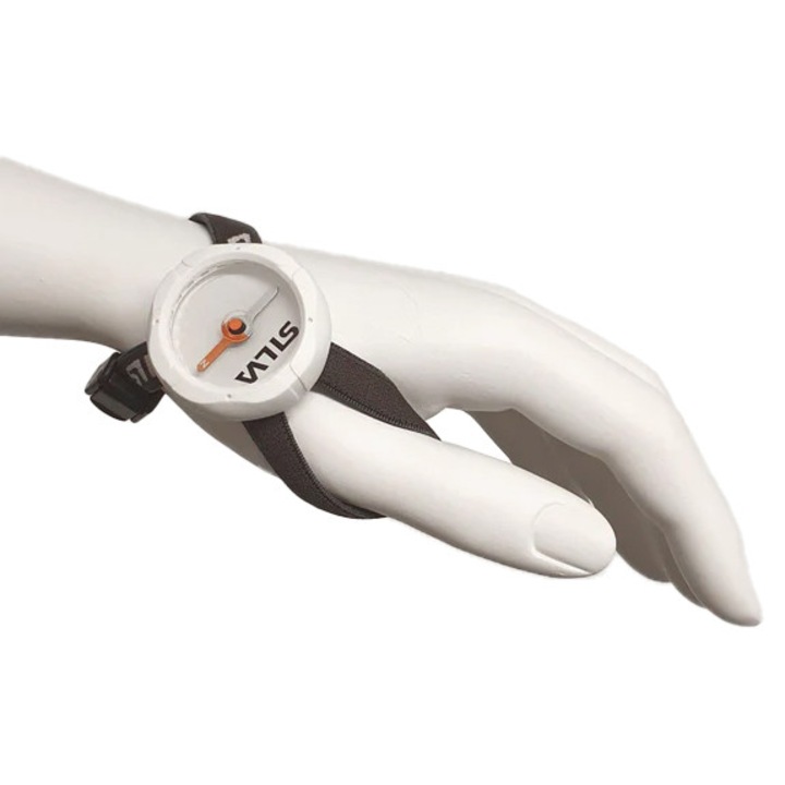 Busola, Silva, Otel, Alb