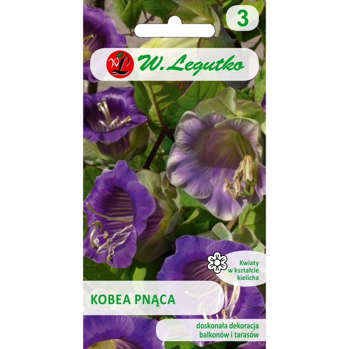 Seminte Kobea, Legutko, 6 seminte, Violet