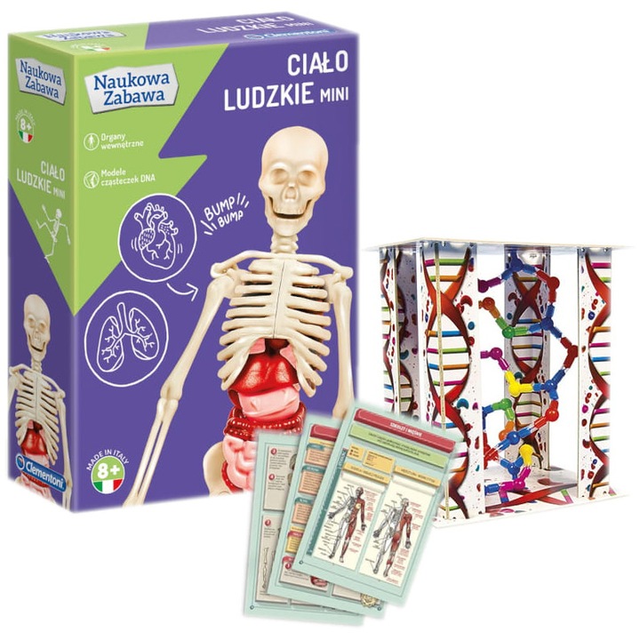Joc Educativ, Clementoni, Human Body Mini, Model Corp Uman, Structura Adn, Instructiuni Ilustrate