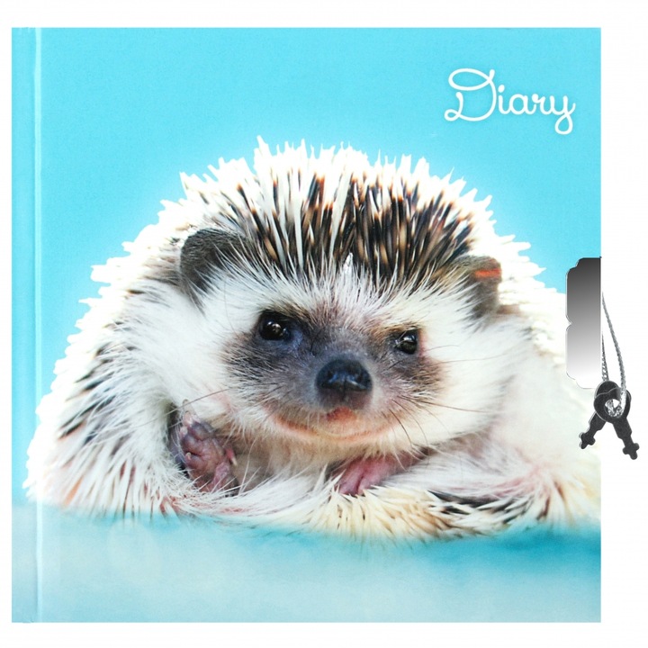 Дневник с ключалка, Starpak, 14x14см, Многоцветен