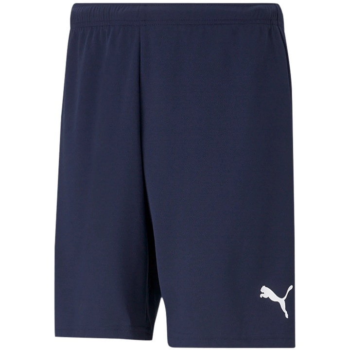 Pantaloni sport Puma, 54848, Albastru