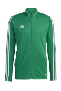 Treninguri lifestyle