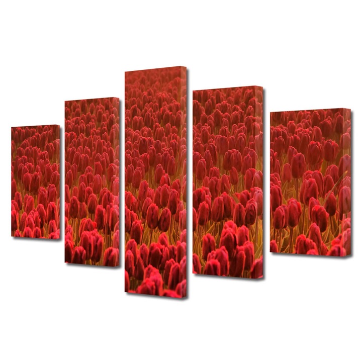 Tablou Multicanvas 5 Piese Flori, Lalele rosii Scarlet, 60 x 100 cm